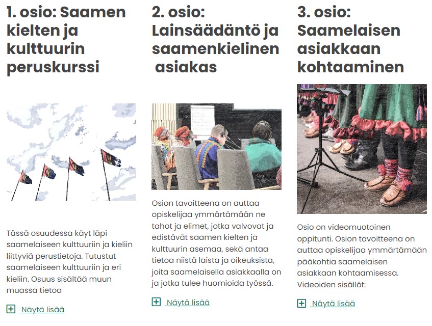 Saamen Kielten Ja Kulttuurin Verkkokurssi Sote-ammattilaisille ...